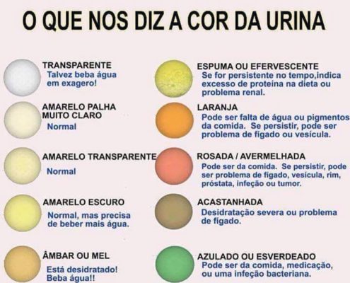 O que nos diz a cor da urina