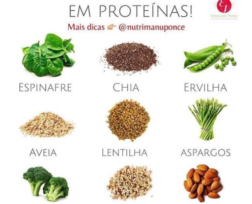 Alimentos ricos em proteínas